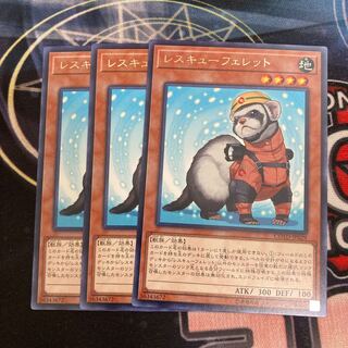 Rescue Ferret Rare, 3-card special