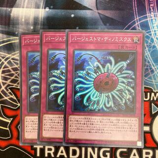 Paleozoic Dinomischus Super Rare, 3 copies, special price