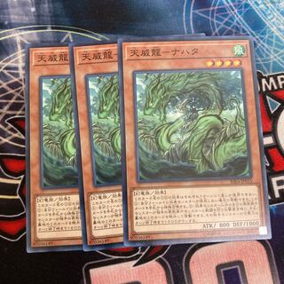 Tenwei Ryu - Nahata Normal 3 pieces