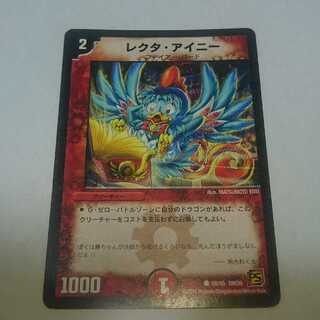 レクタ・アイニー