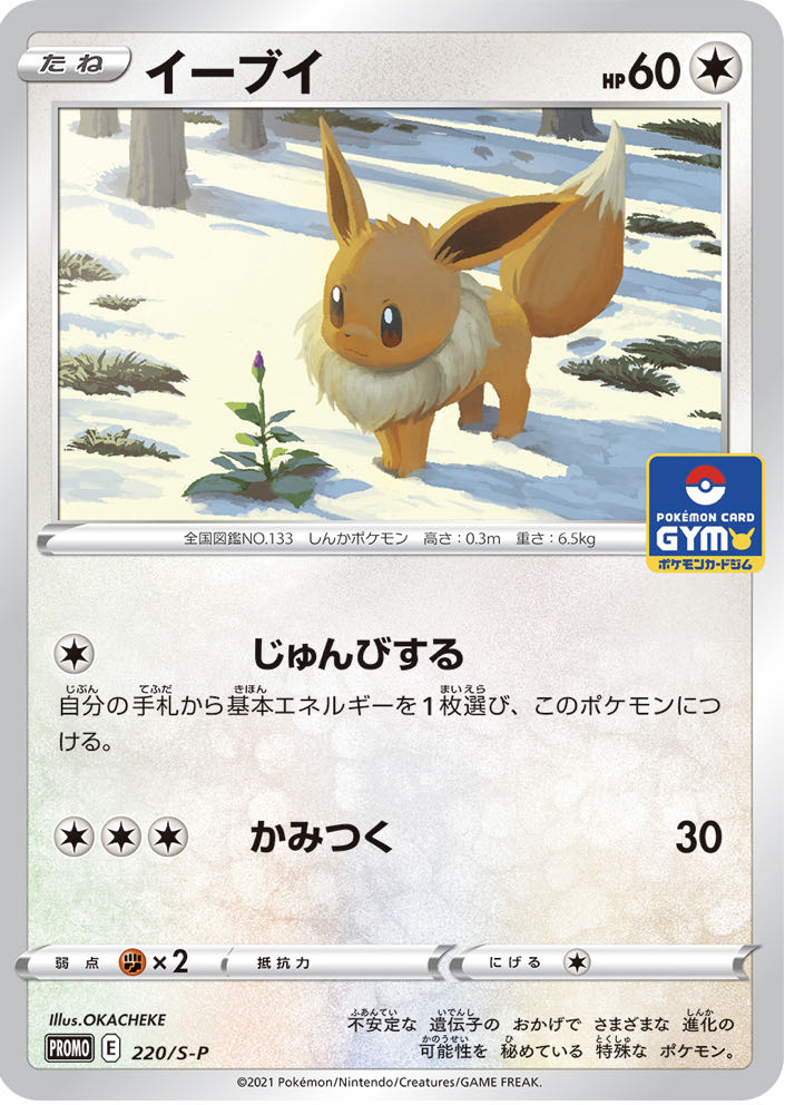 ポケモンカード ブイズ 英語版 プロモ まとめ売り Dominicosvam Org