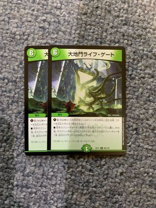 Large Gate Life Gate