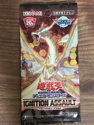 イグニッションアサルト アジア」の激安通販 | magi