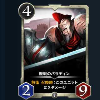 歴戦のパラディン