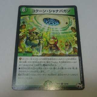 コクーン・シャナバガン