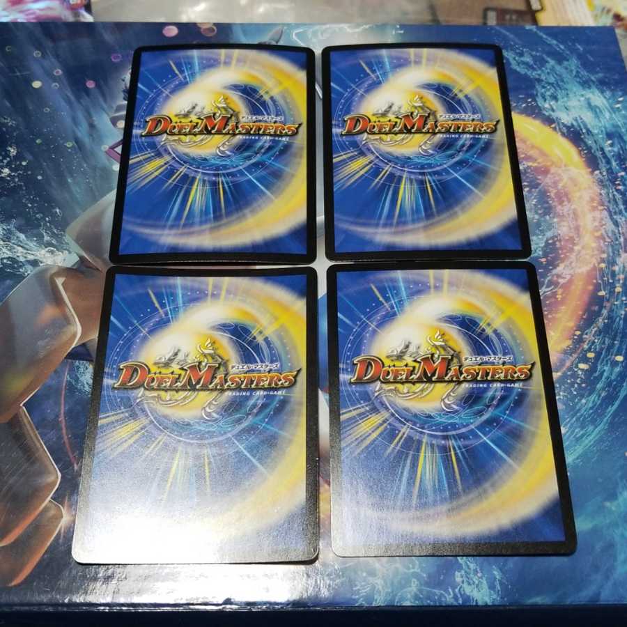 天命龍装ホーリーエンド　シク