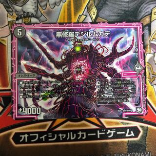 無修羅デジルムカデ