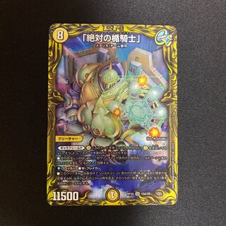 Absolute shield knight" (20th rare spec.)