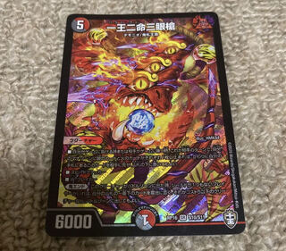 [Lowest Price] One King, Two Lives, Three Eyes Spear Initial