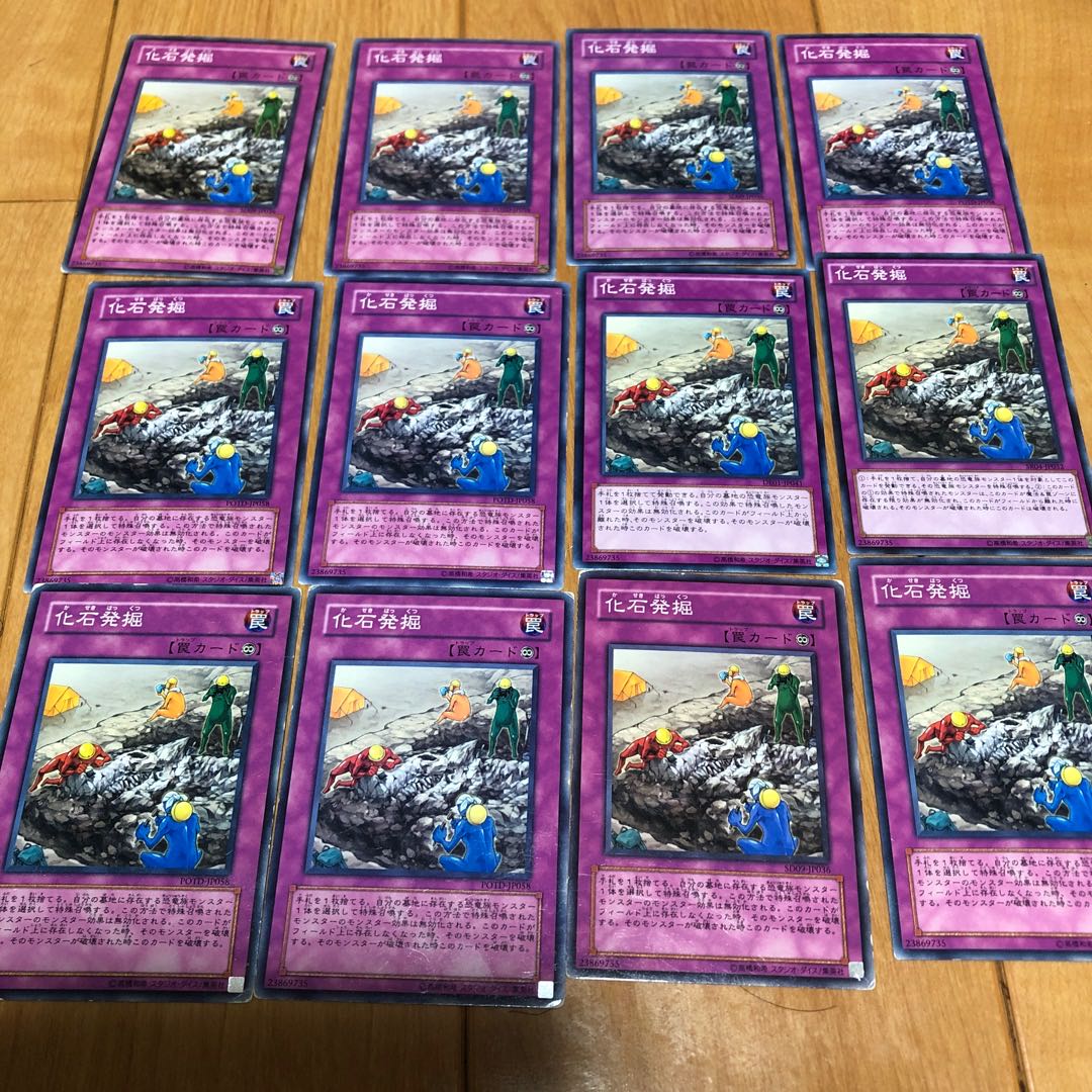 Fossil Excavation Normal 12 sheets