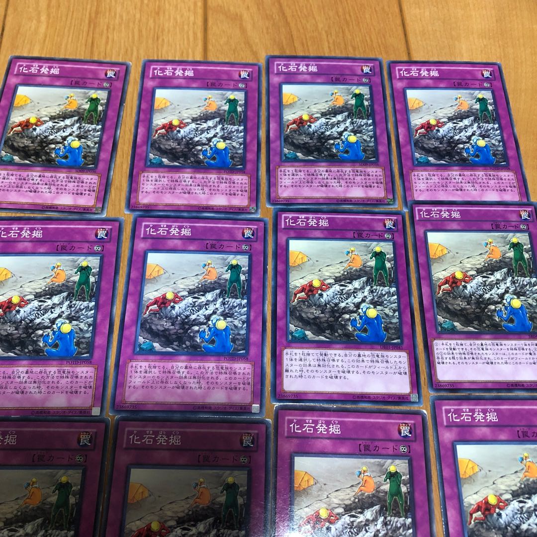 Fossil Excavation Normal 12 sheets