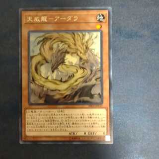 Tenwei Ryu - Ardala Rare [Mokurindo