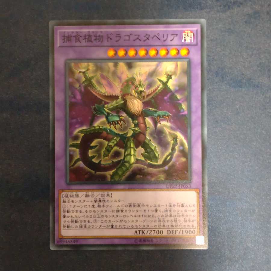 Predaplant Dragostapelia Normal [Mokurindo