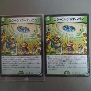 コクーン・シャナバガン