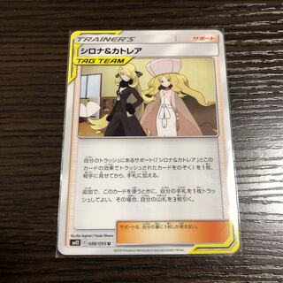 シロナ&カトレア