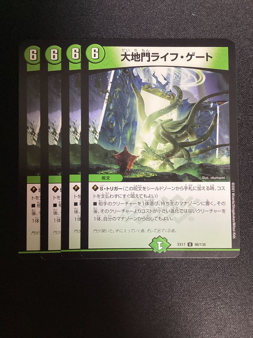 Large Gate Life Gate