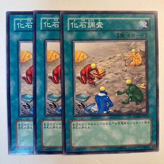 化石調査　☆6624