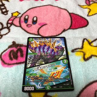 闘争類拳嘩目 ステゴロ・カイザー｜お清めシャラップ