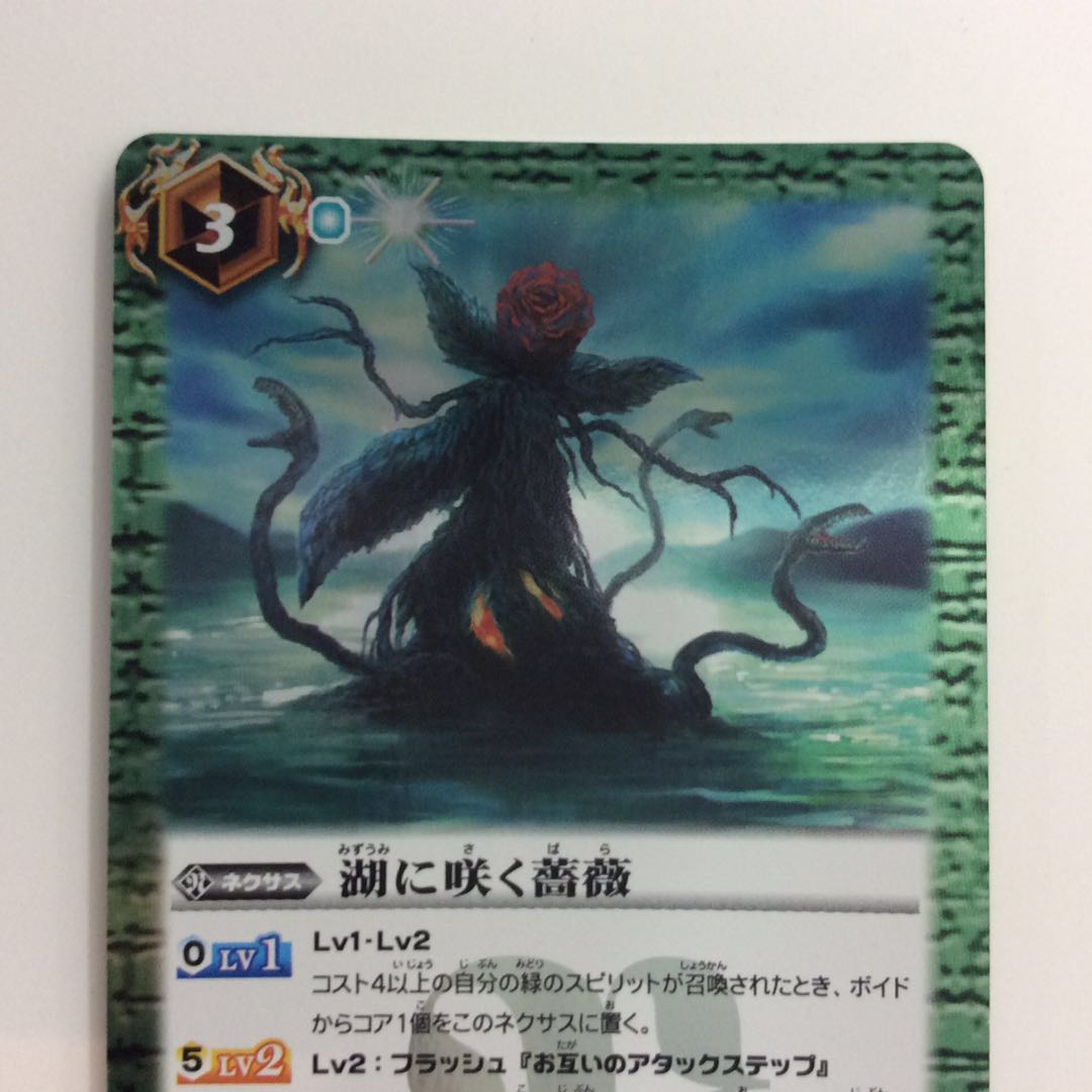 （微キズ）湖に咲く薔薇 1枚