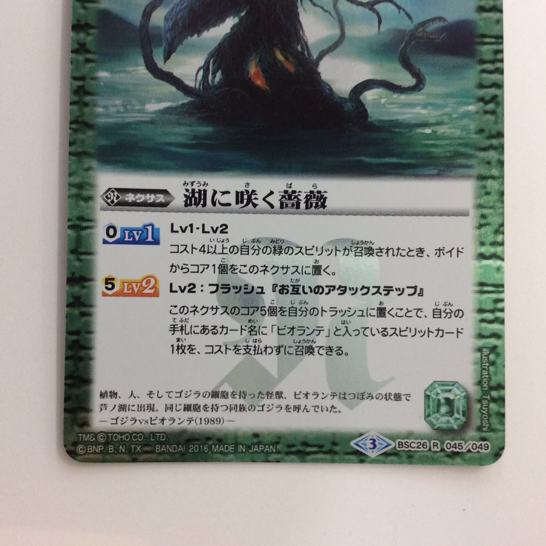 （微キズ）湖に咲く薔薇 1枚