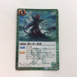 （微キズ）湖に咲く薔薇 1枚