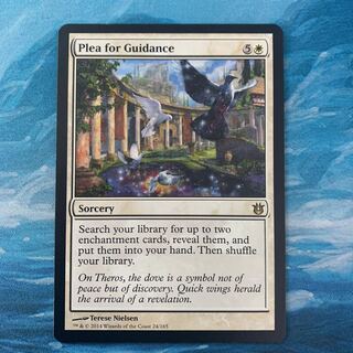 MTG Plea for Guidance