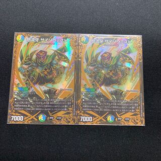 専用　　　怒流牙サイゾウミスト　２枚