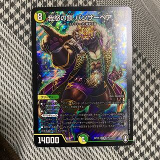 我怒の鎖 パンサーベア