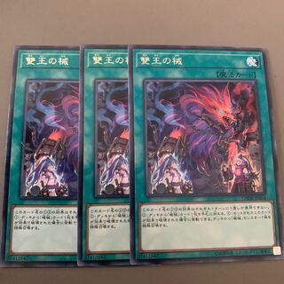 雙王の械  専用