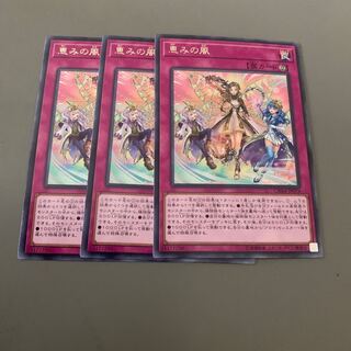 恵みの風　専用