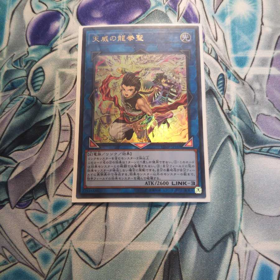 書籍付録 天威の龍拳聖