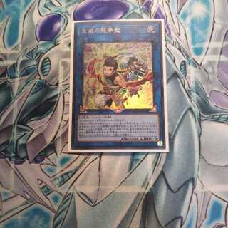 書籍付録 天威の龍拳聖