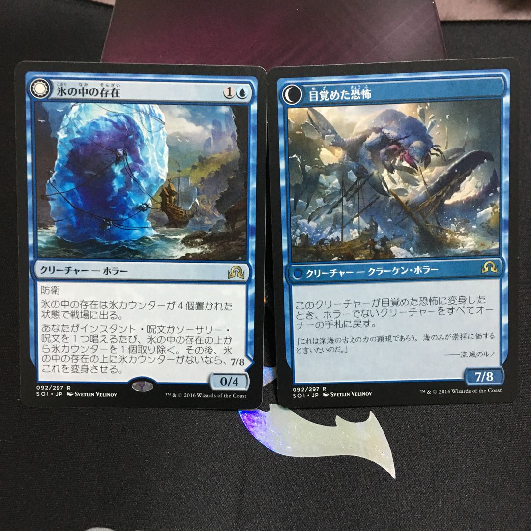 氷の中の存在 2枚セット