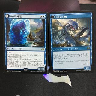 氷の中の存在　2枚セット