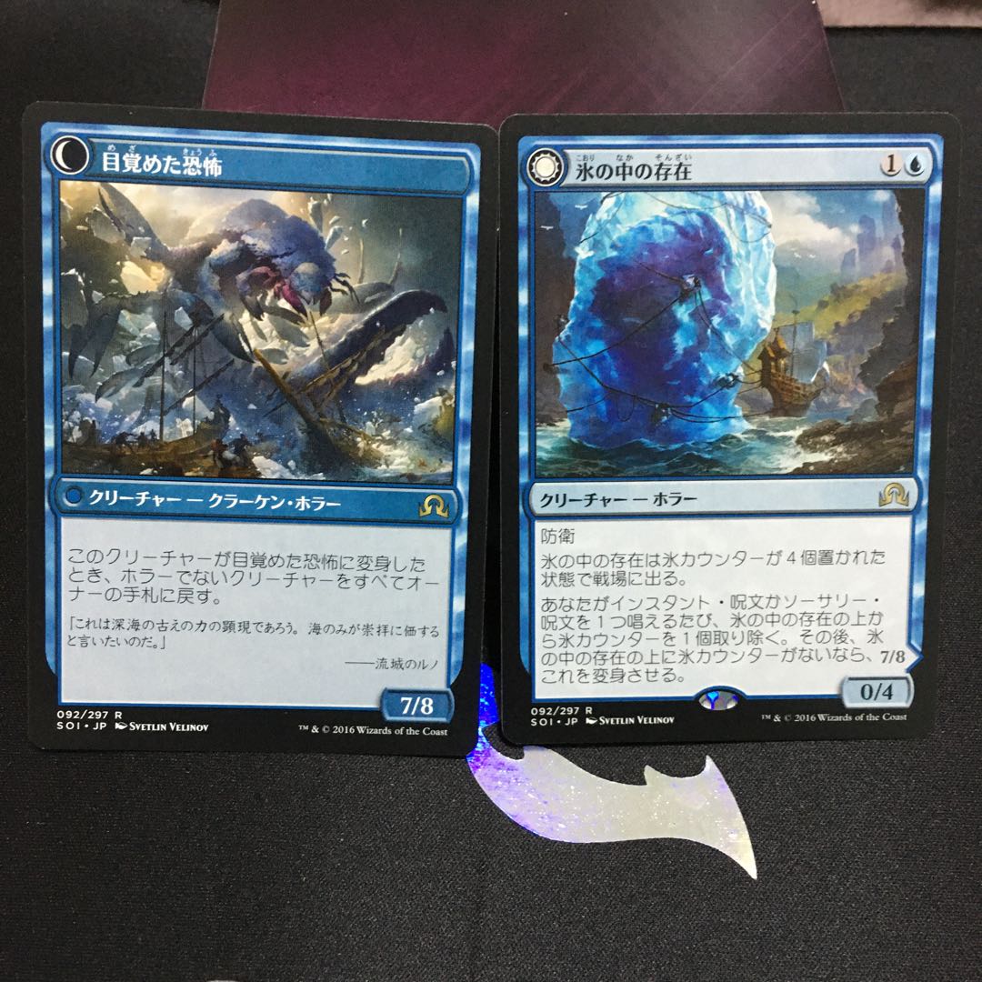 氷の中の存在 2枚セット