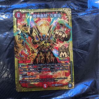 マナミケア様　専用 1枚