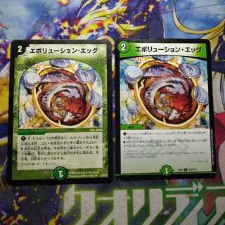 エボリューション・エッグ　2112