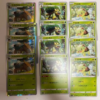 専用〜ナエトル　進化ライン