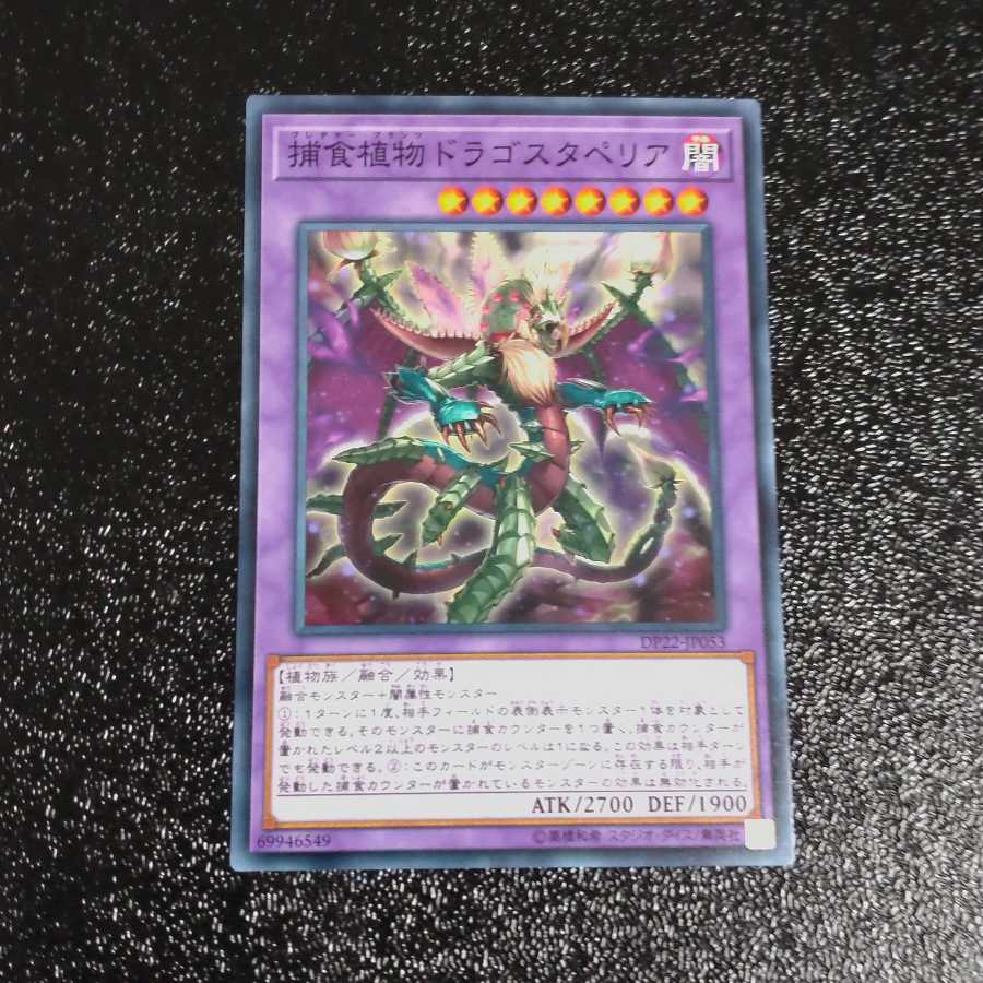 Predaplant Dragostapelia Normal [Mokurindo