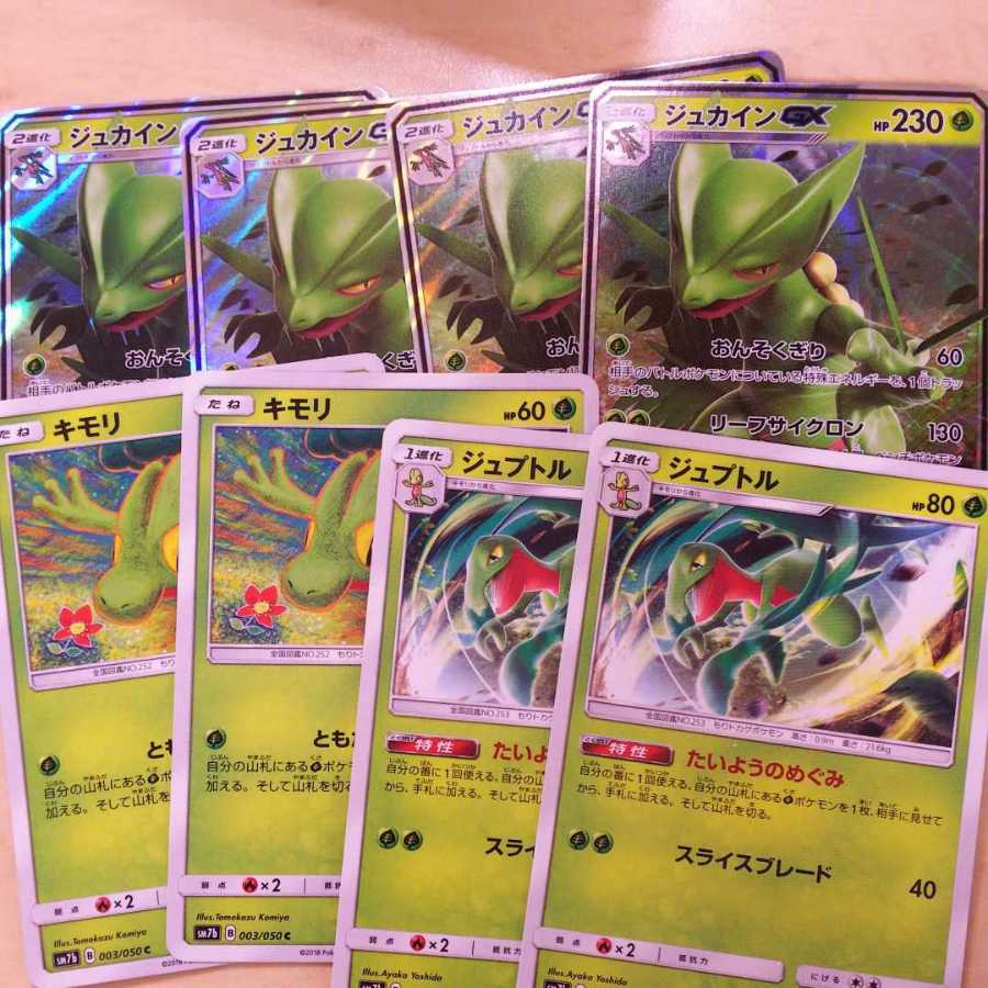 Sceptile Evolution Line