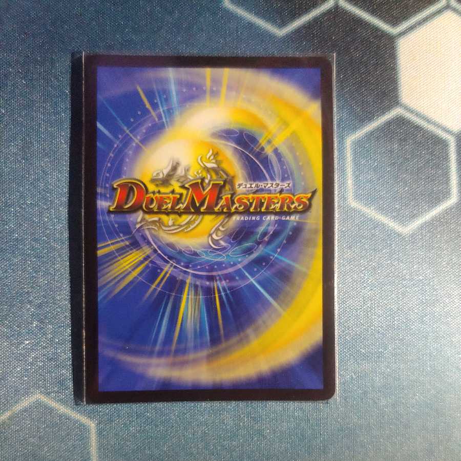 我怒の鎖 パンサーベア