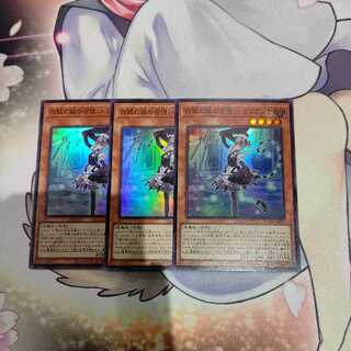 The Servant of the White Silver Castle, Arianna, set of 3