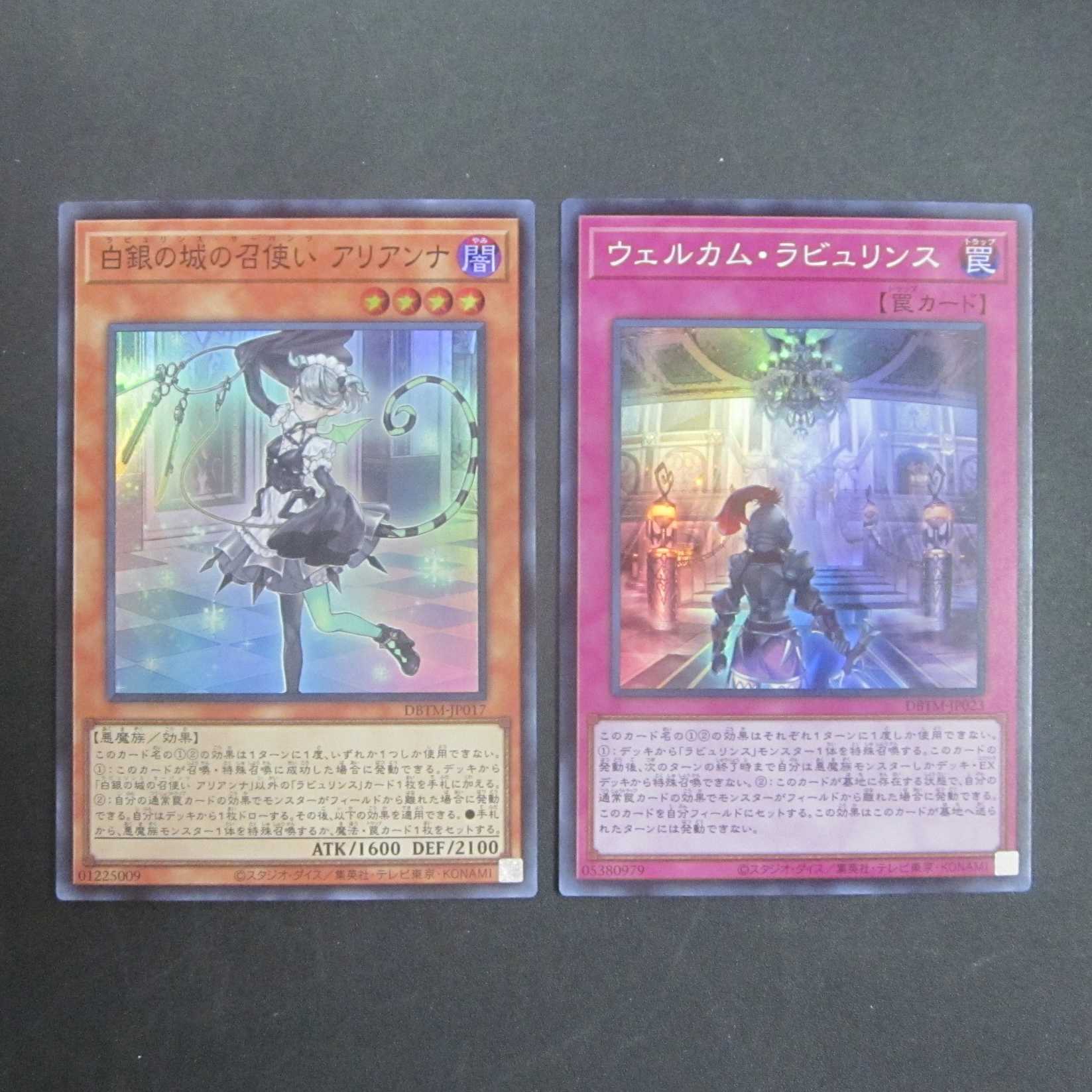 The Servant of the White Silver Castle Arianna SR Welcome Labourince SR