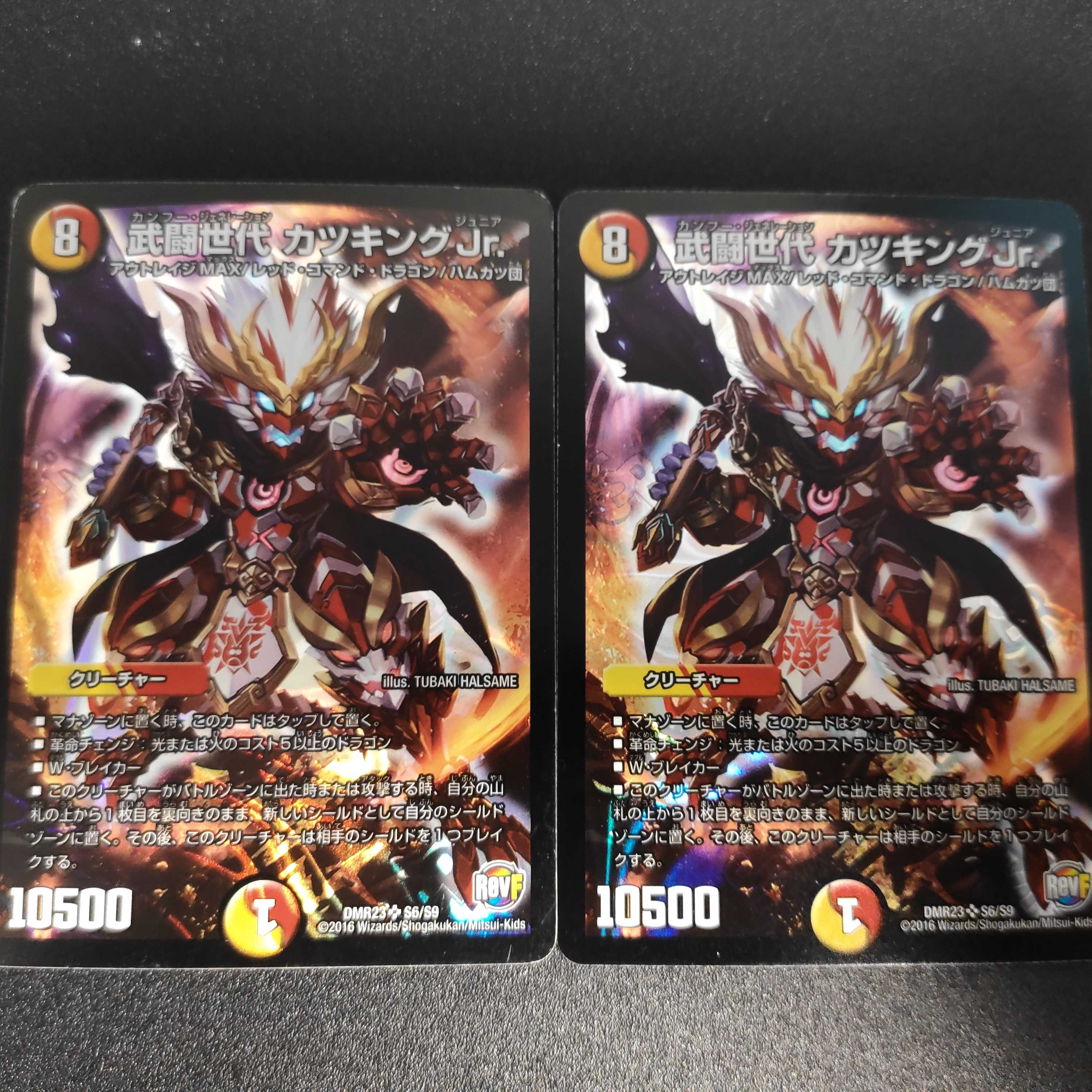 Takeshi Fighting generation Katsu King Jr.