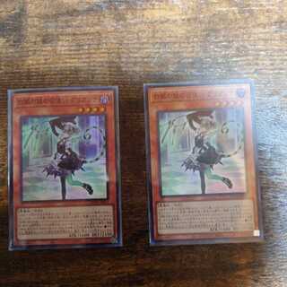 The Servant of the Castle of White Silver, Arianna, 2 Super.