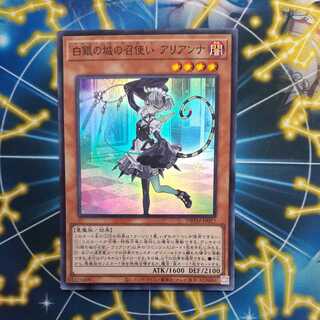 Arianna, the servant of the White Silver Castle, Super.