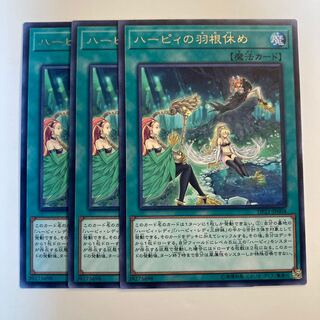 ハーピィの羽根休め　☆6749