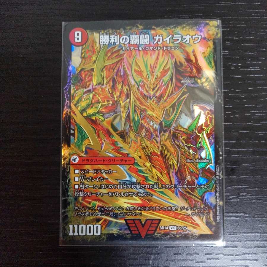 HaFighting Shoguryu Sword Gaiaobahn|HaFighting Gaiaobahn for Victory