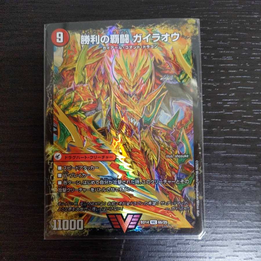 HaFighting Shoguryu Sword Gaiaobahn｜HaFighting Gaiaobahn for Victory