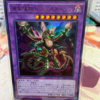 Predaplant Dragostapelia Ultra Rare